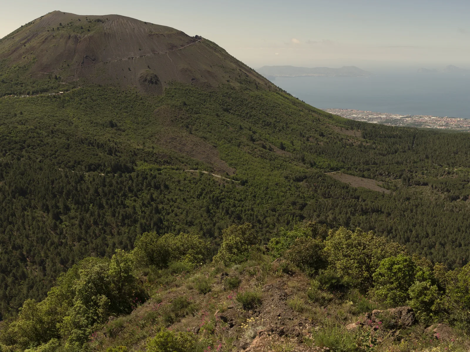 Der Kegel des Vesuv im Nationalpark Vesuv, gesehen vom Monte Somma, dahinter der Golf von Neapel