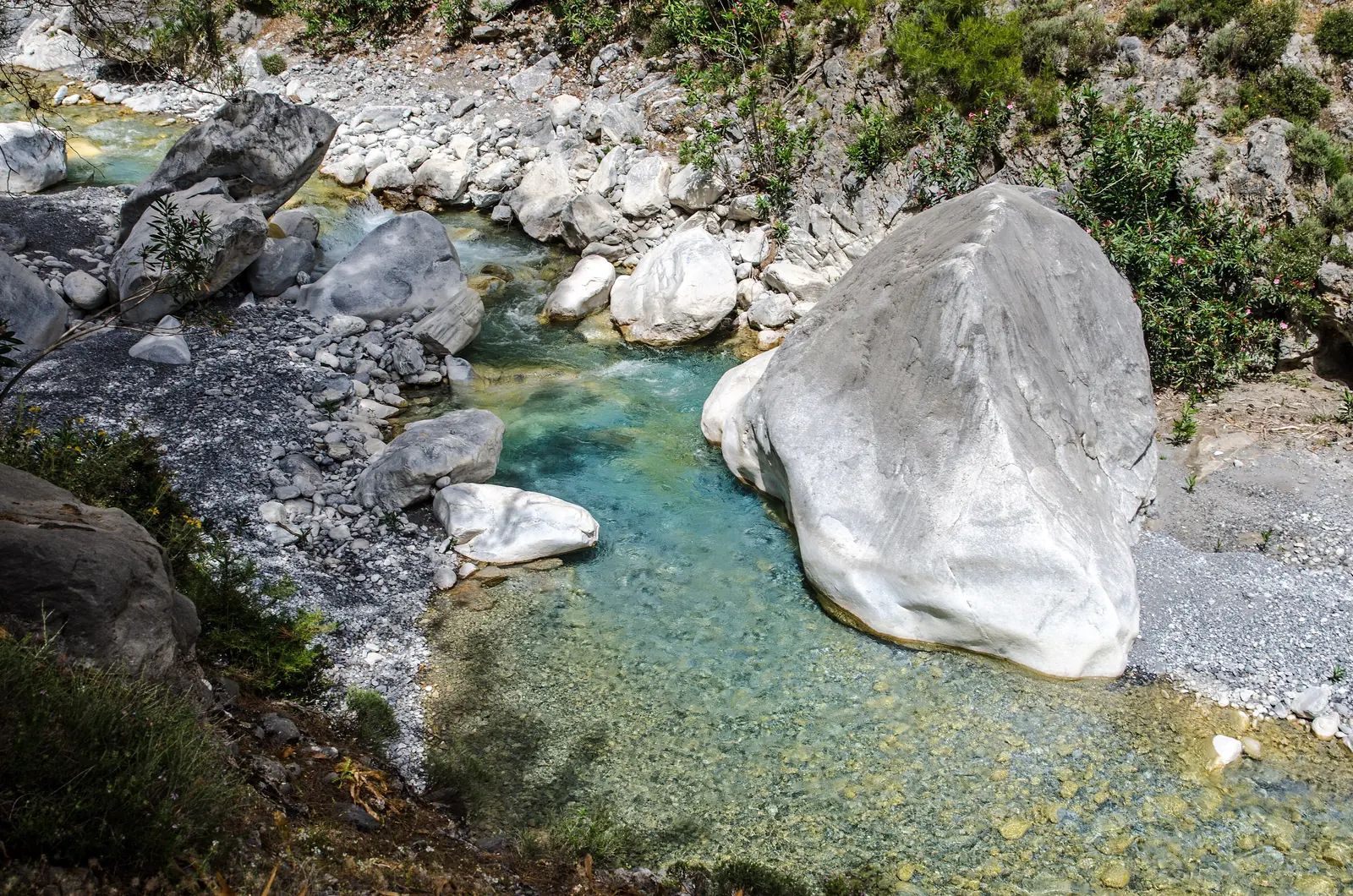 Klares Wasser zwischen hellen Felsblöcken im Flussbett der Samaria-Schlucht auf Kreta, umgeben von Kiefern
