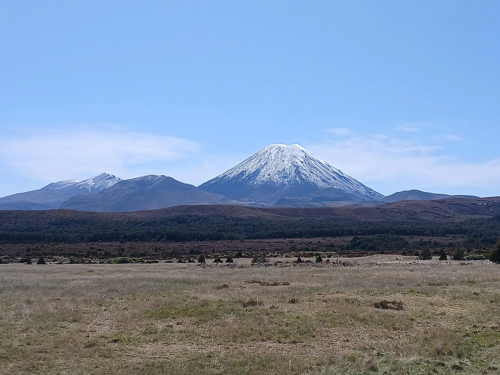 Der schneebedeckte Vulkankegel des Mount Ngauruhoe über einer weiten Graslandschaft unter blauem Himmel