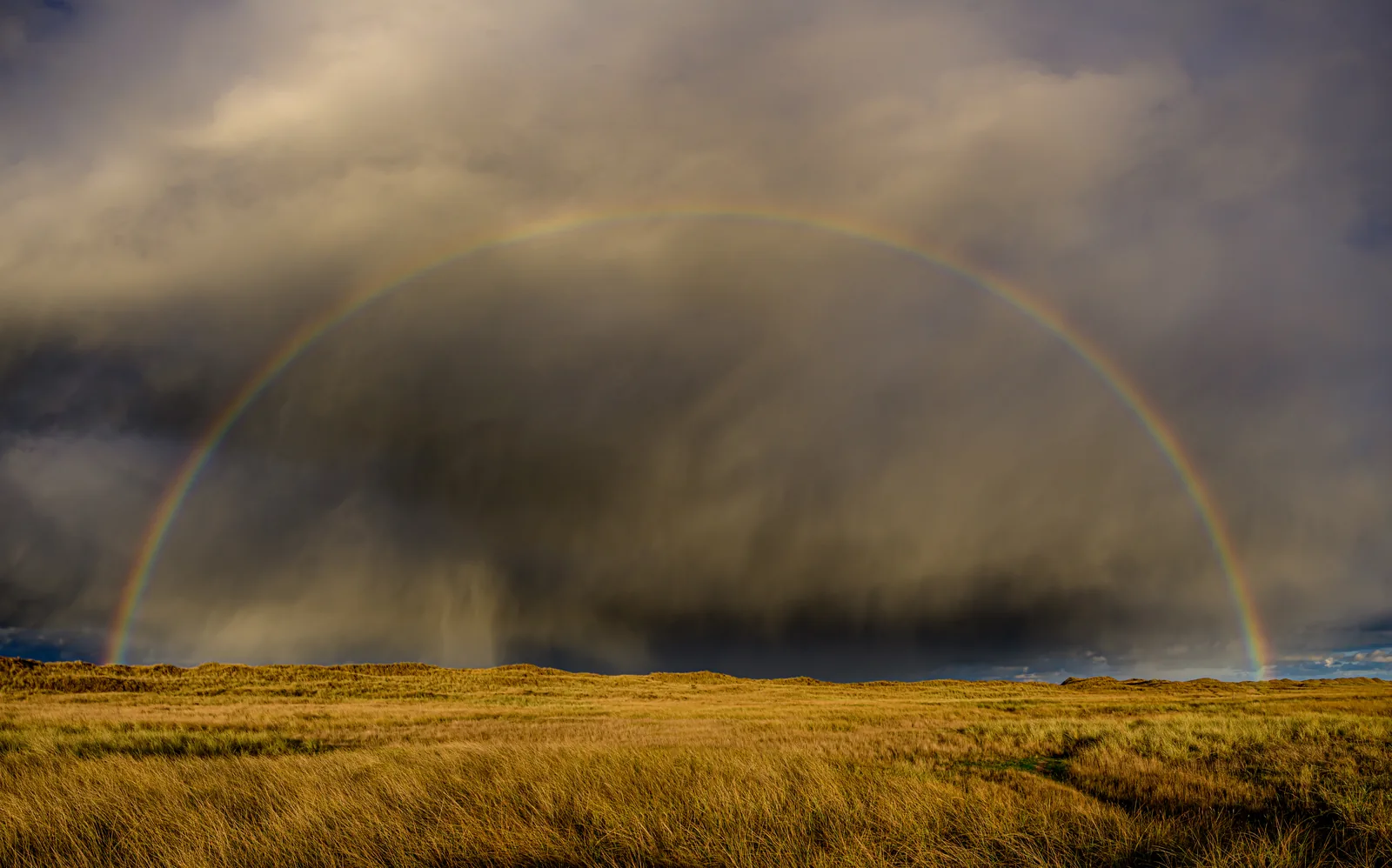 Ein Regenbogen spannt sich über die Salzwiesen der Ostplate von Spiekeroog, dahinter eine dunkle Wolkenwand