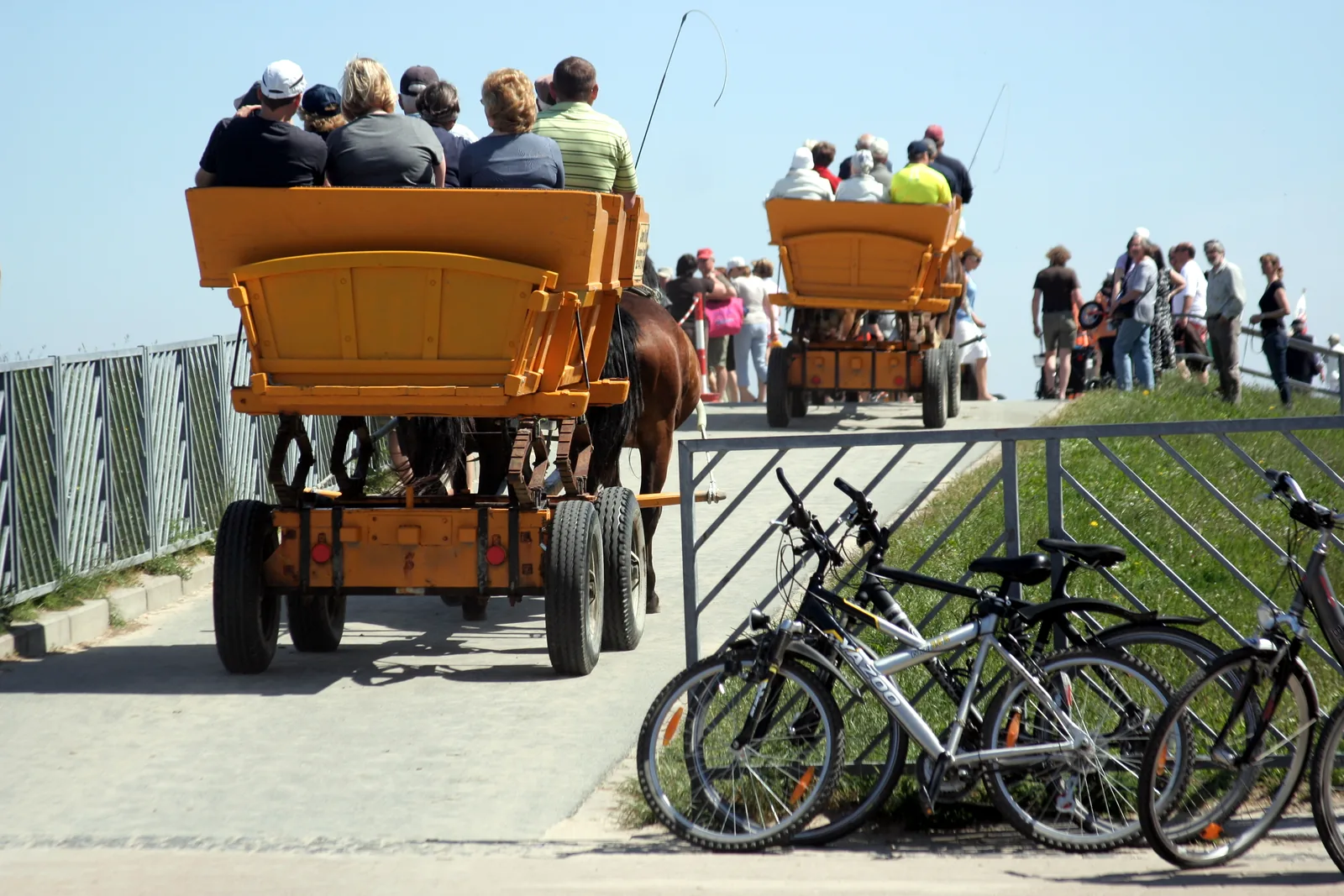 Wattwagen auf dem Weg zur Insel Neuwerk bei Cuxhaven