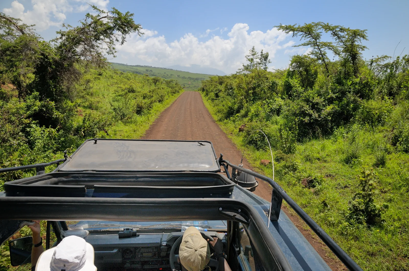 Aus dem offenen Dach eines Safariwagens: eine rote Piste durch grünen Busch im Schutzgebiet