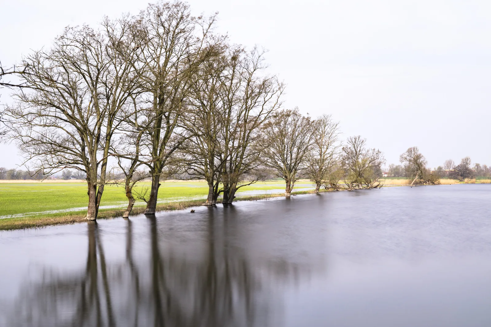 Der Wasserstand im Polder sinkt, grünes Gras kommt am Rand der Wasserfläche zum Vorschein