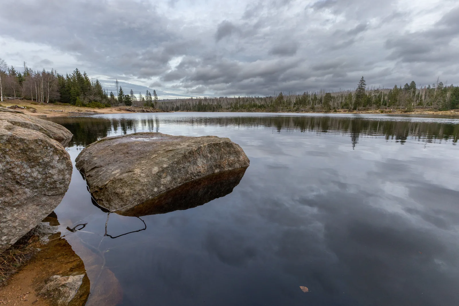 Der Oderteich im Harz