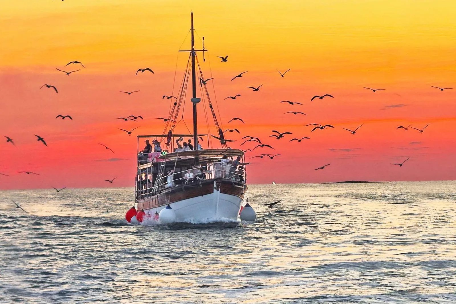 Angebotsfoto: Ab Fažana: Brijuni-Bootsfahrt mit Abendessen