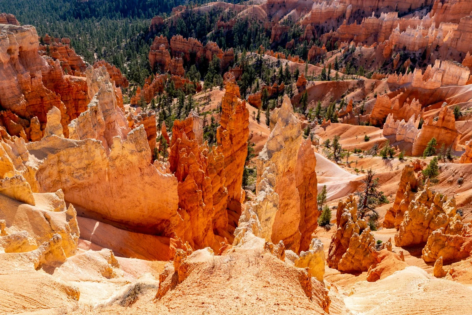 Angebotsfoto: Tagestour ab Las Vegas zu Bryce Canyon und Zion