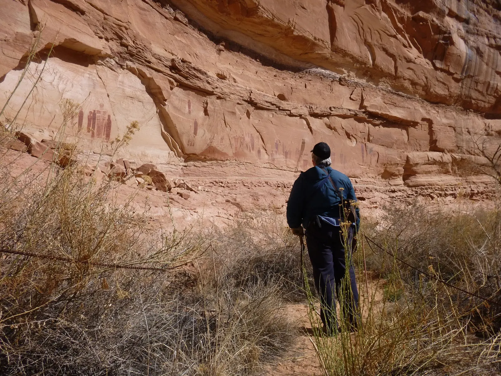 Angebotsfoto: Tagestour zur Great Gallery im Horseshoe Canyon