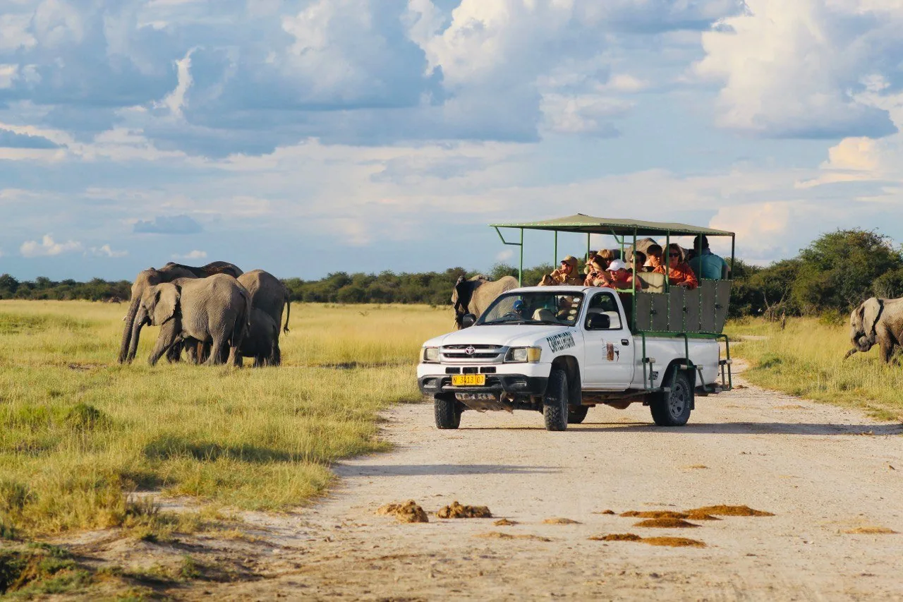 Angebotsfoto: Halb- oder Ganztagespirschfahrt ab Okaukuejo im Safarifahrzeug