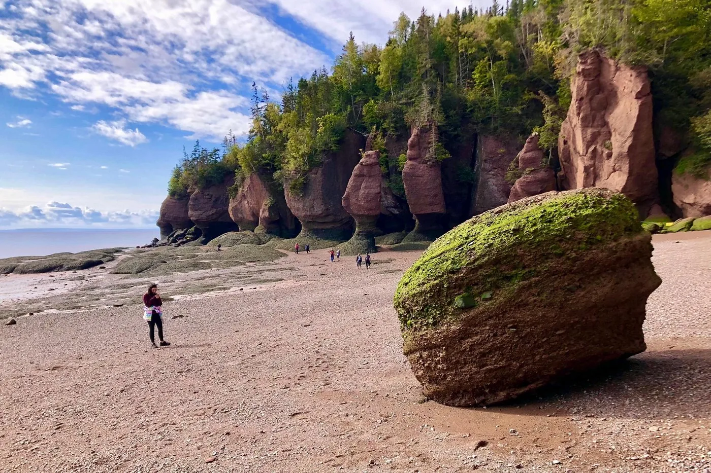 Angebotsfoto: Ab Saint John: Privattour zu den Hopewell Rocks und in den Fundy-Nationalpark