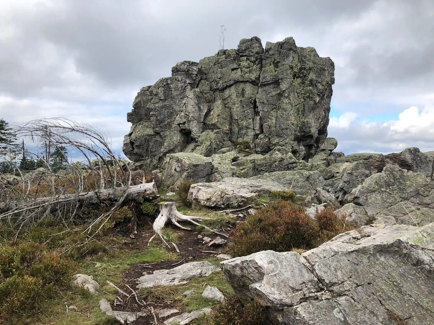 Angebotsfoto: Geführte Wanderung zur Hanskühnenburg und ins Hochmoor am Acker