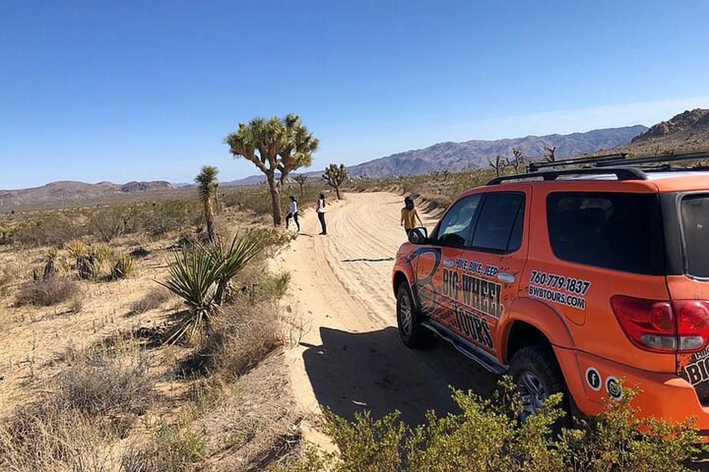 Angebotsfoto: Ab Palm Desert: Offroad-Tour über die Geology Tour Road