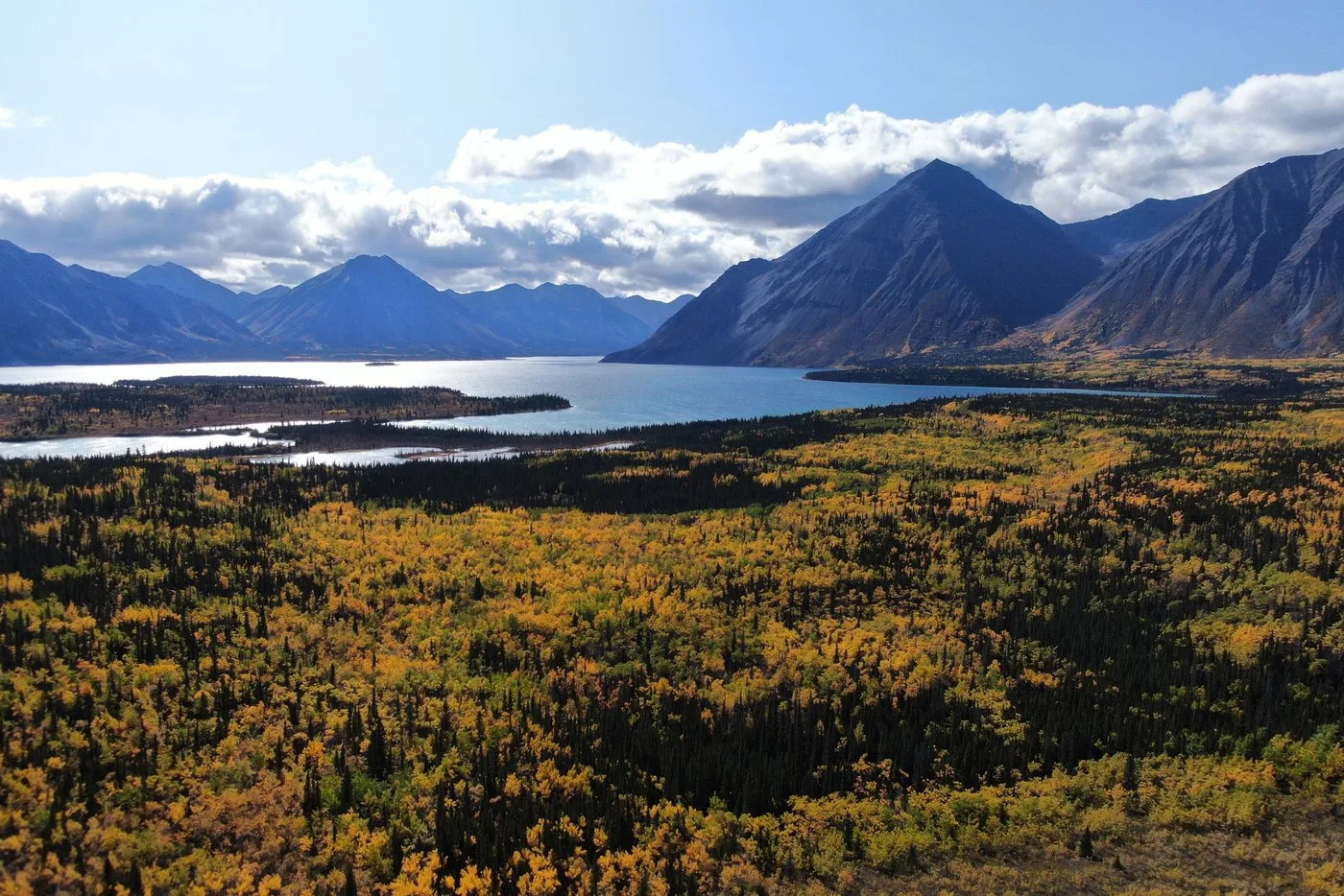 Angebotsfoto: Ab Whitehorse über den Alaska Highway nach Haines Junction