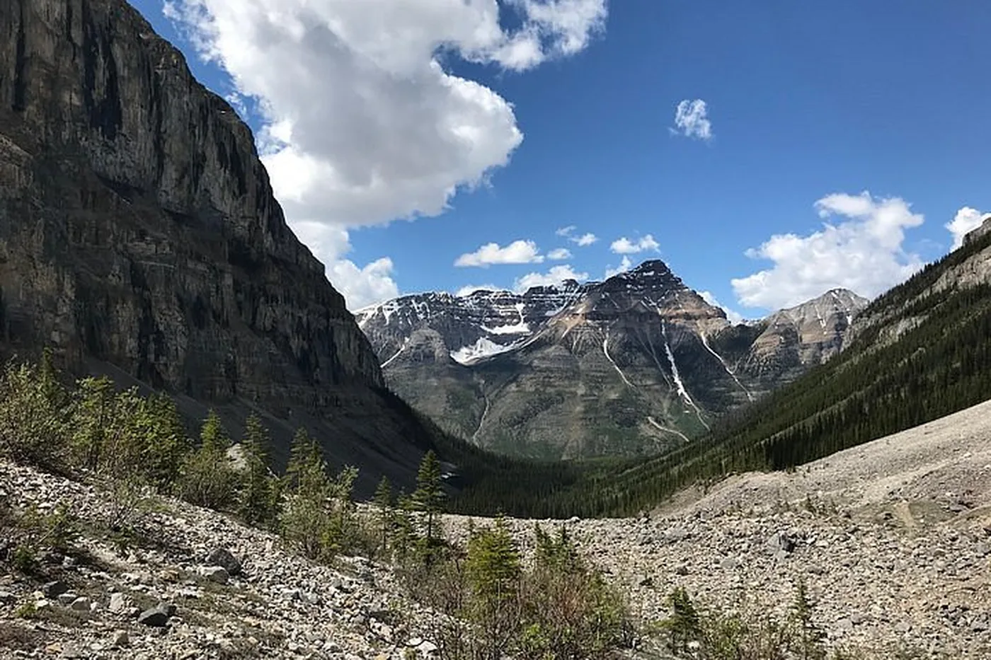 Angebotsfoto: Geführte Wanderung ins Stanley Glacier Valley