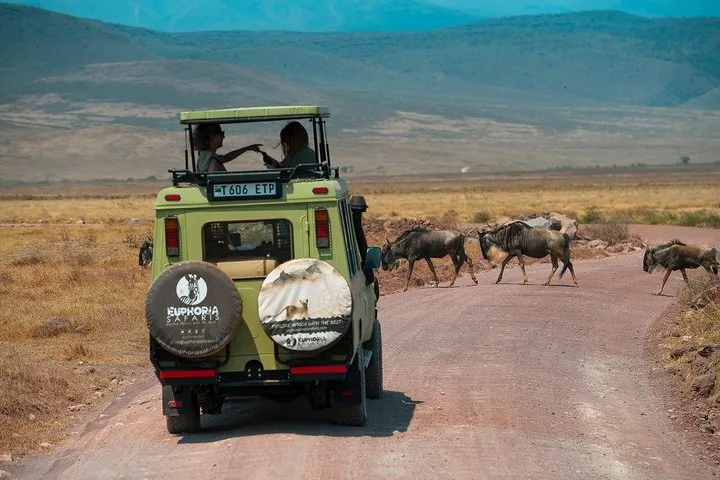 Angebotsfoto: Ab Arusha: Tagesausflug in den Ngorongoro-Krater mit Picknick