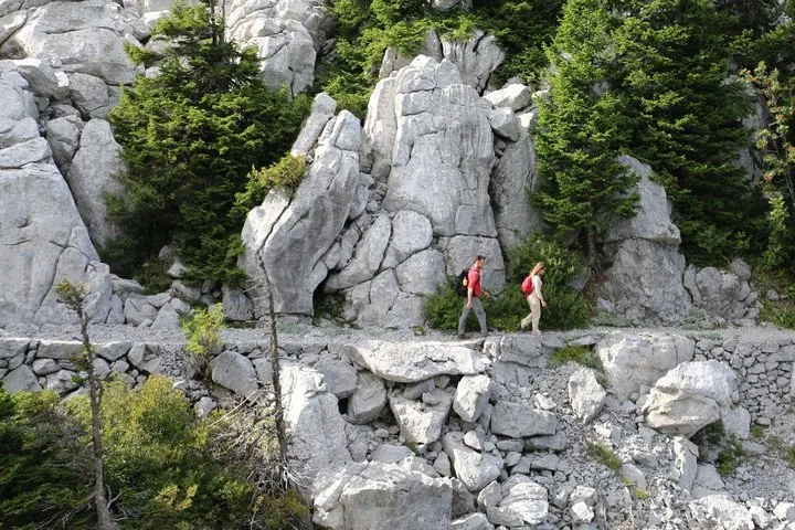 Angebotsfoto: Ab Zagreb: private Tageswanderung auf dem Premužić-Weg