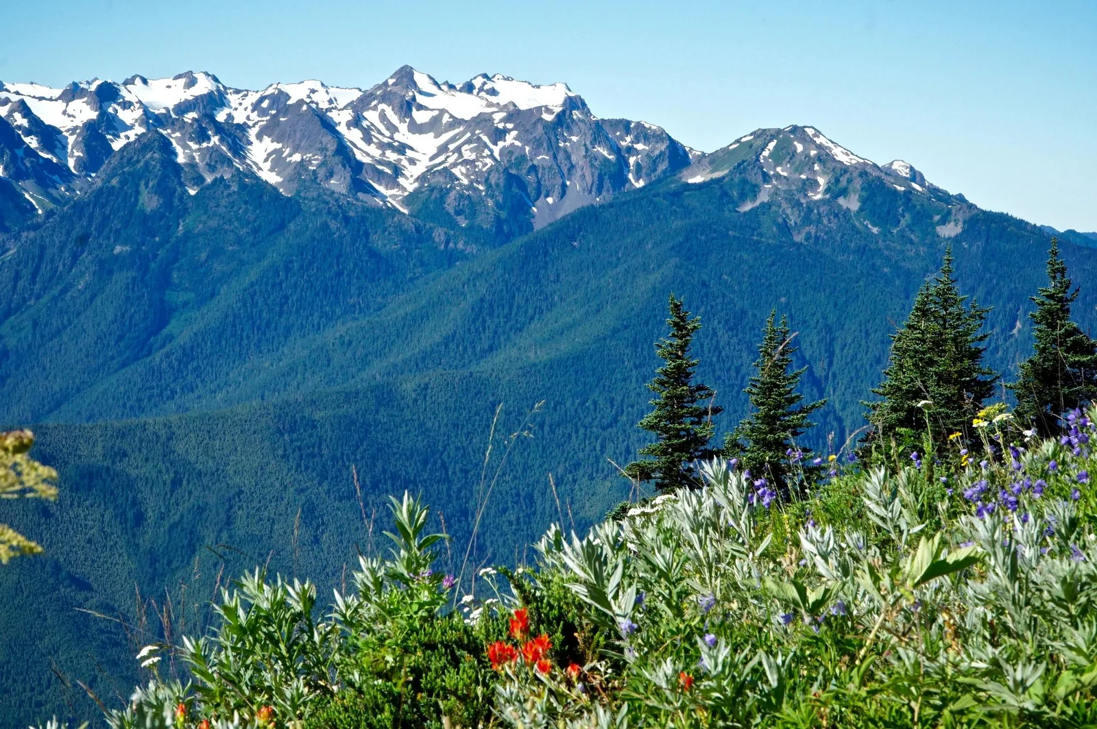 Angebotsfoto: Kleingruppentour ab Seattle mit Fähre, Lake Crescent und Küste