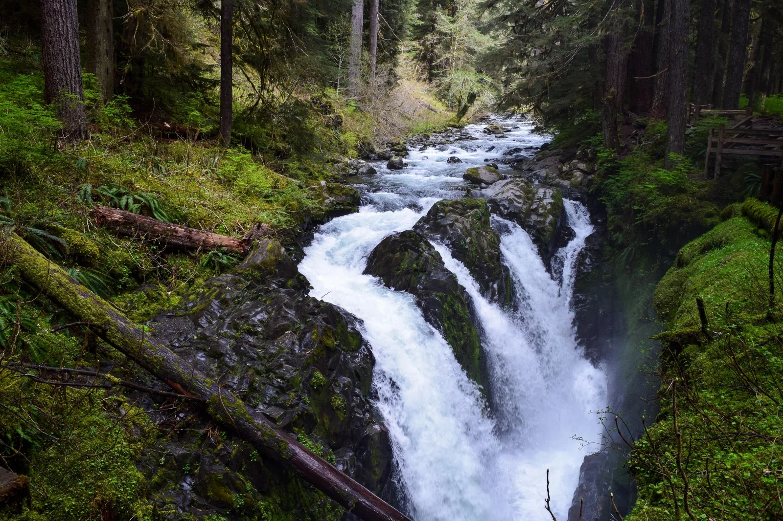 Angebotsfoto: Sol Duc Falls, Lake Crescent und Hurricane Ridge ab Port Angeles