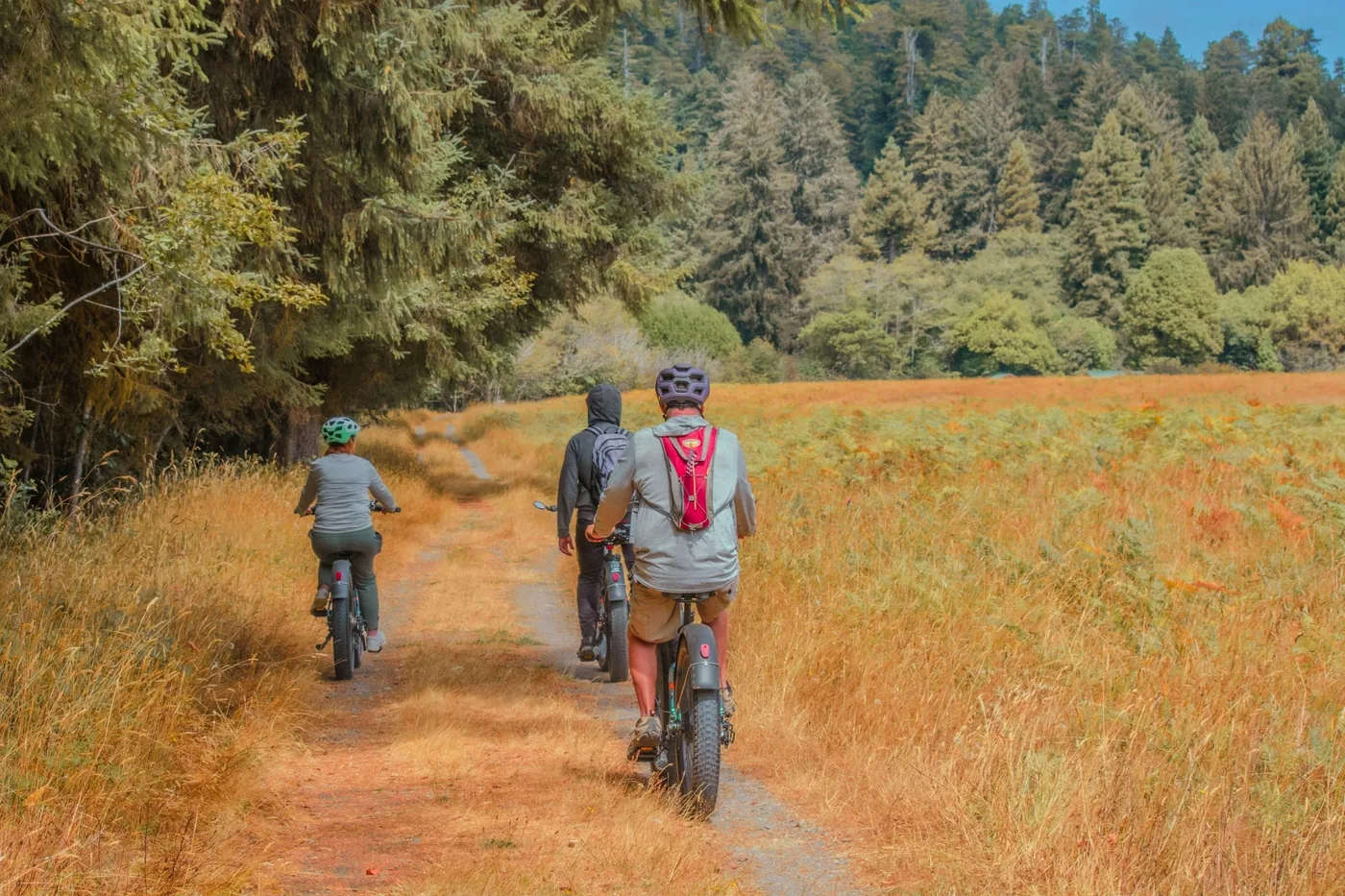 Angebotsfoto: E-Bike-Tour vom Lost Man Creek zum Big Tree