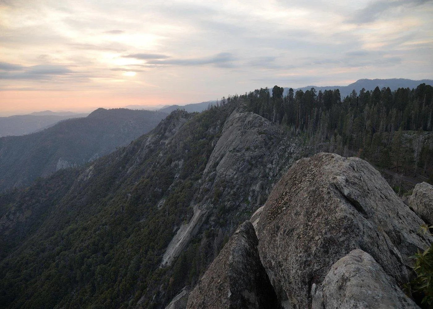 Angebotsfoto: Ab Los Angeles: private Tagestour nach Sequoia und Kings Canyon