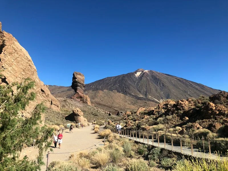 Angebotsfoto: Teide, Icod de los Vinos, Garachico und Masca: Tagestour ab Süden (Tiqets)