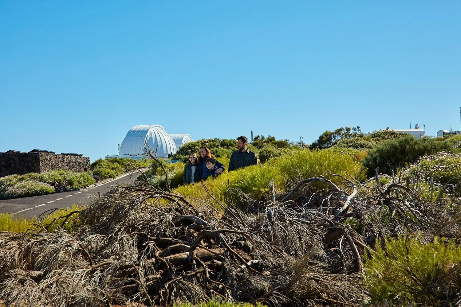 Angebotsfoto: Führung durch das Observatorio del Teide