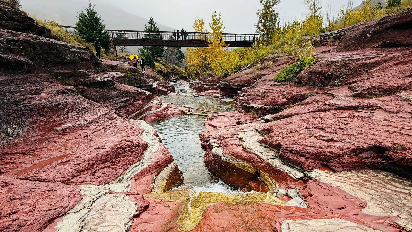 Angebotsfoto: Ab Calgary: Geführte Tagestour in den Waterton-Nationalpark
