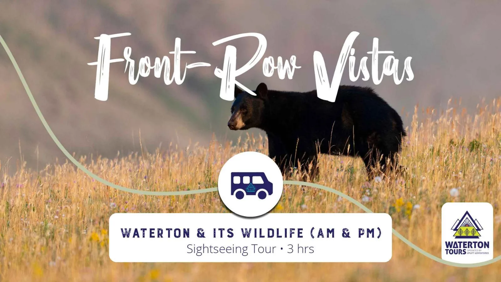 Angebotsfoto: Waterton: Wildtier-Tour