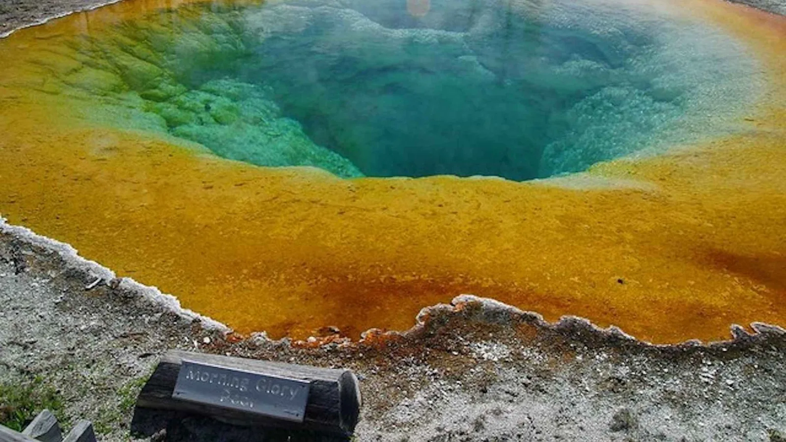 Angebotsfoto: Ab West Yellowstone: Tagestour mit Parkeintritt