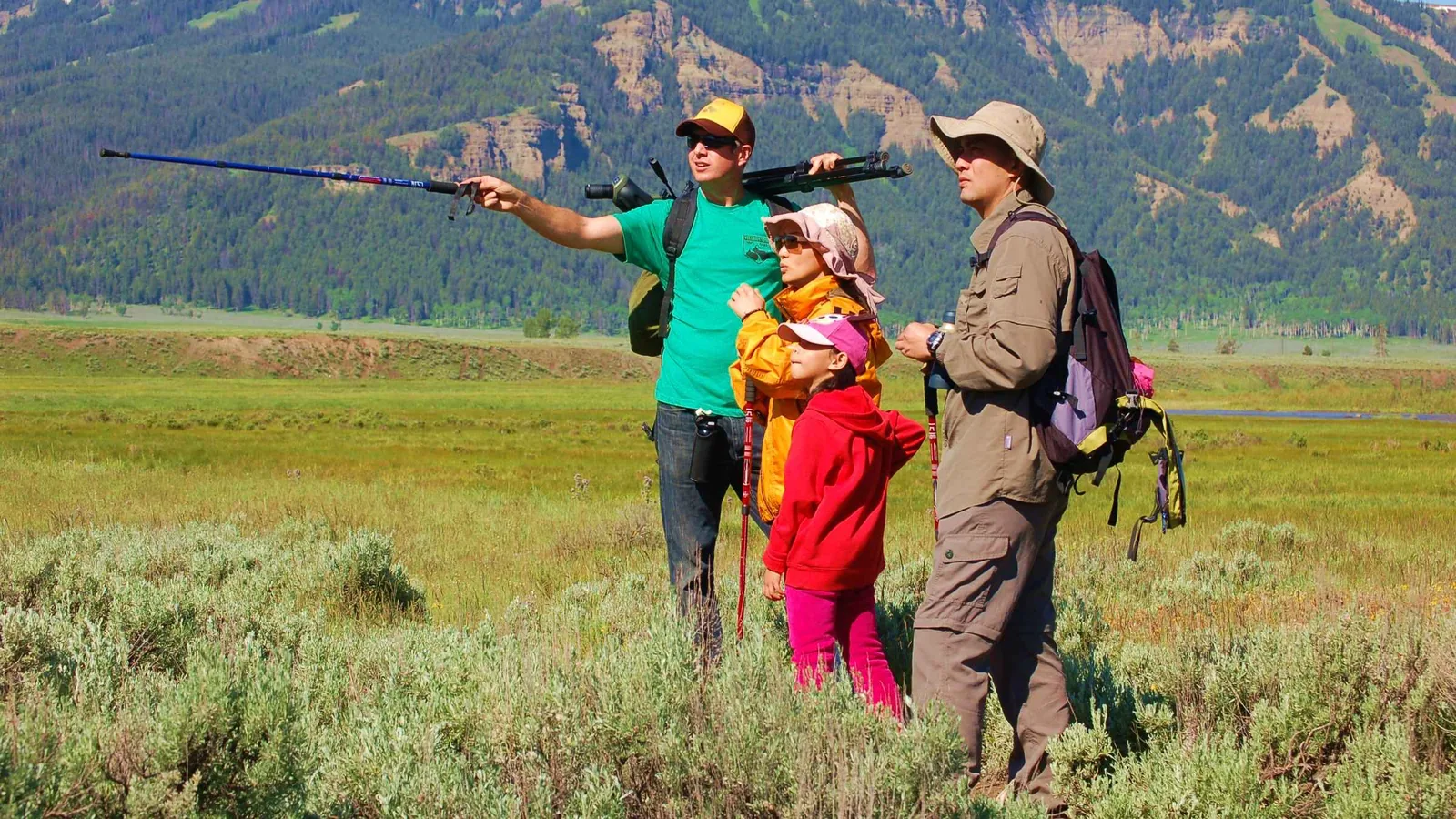 Angebotsfoto: Lamar Valley: Safari-Wanderung mit Guide