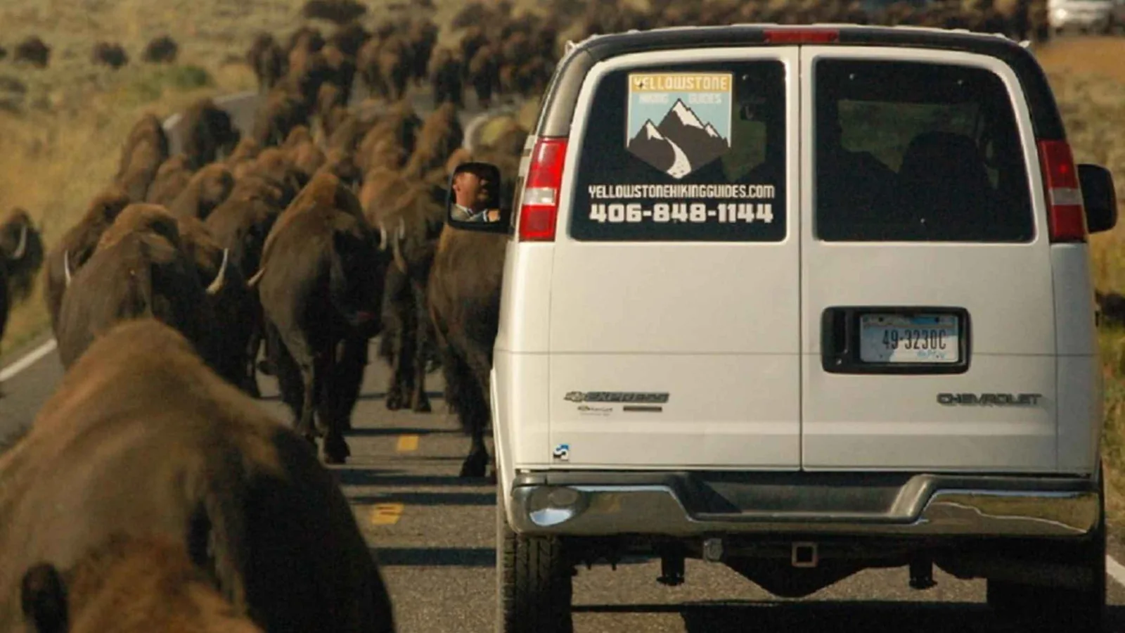Angebotsfoto: Lamar Valley: Wildtiertour im Van ab West Yellowstone