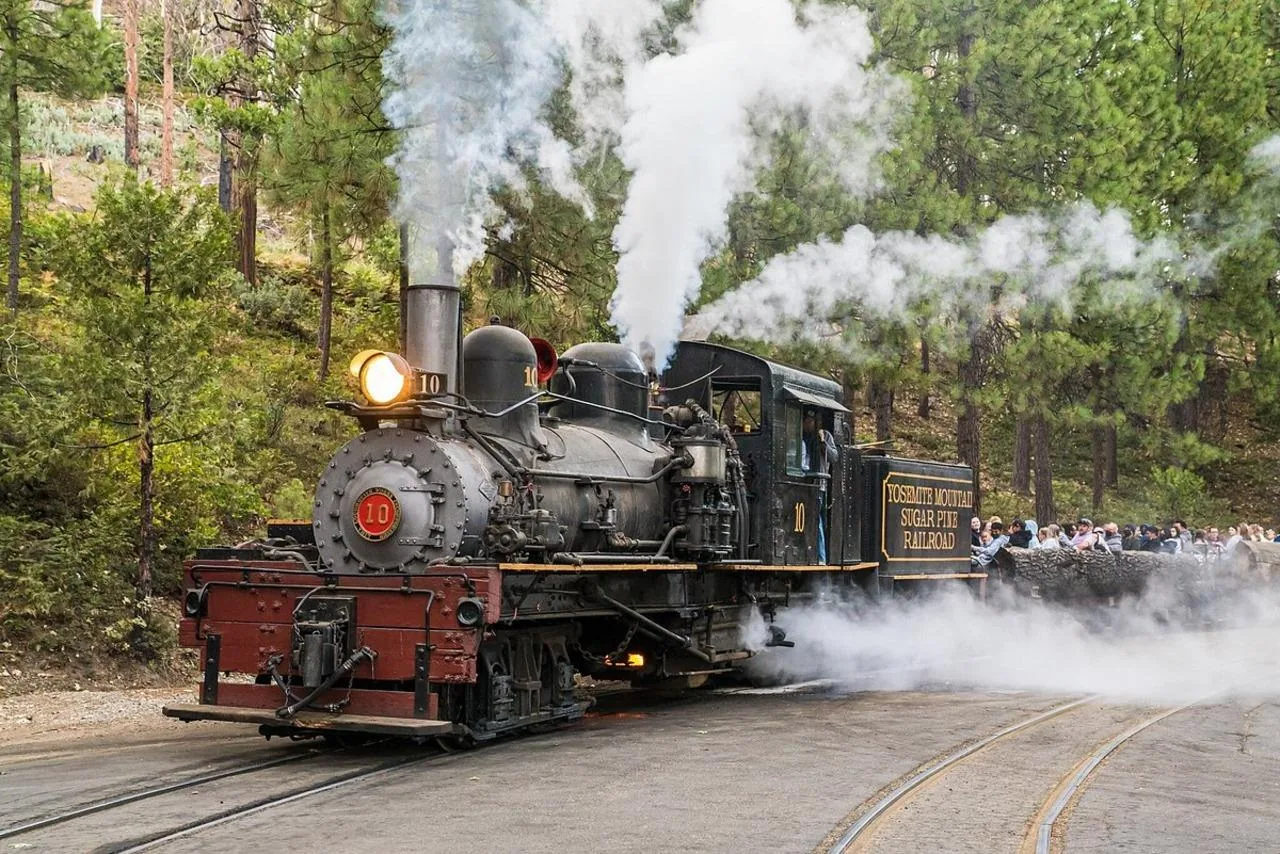 Angebotsfoto: Schmalspurbahn in Fish Camp am Südeingang