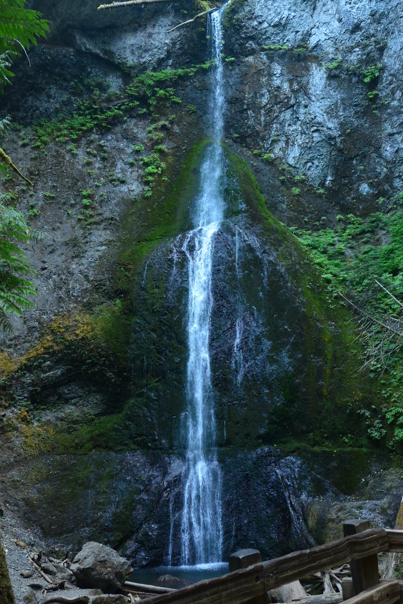 Die Marymere Falls fallen als schmaler Schleier über eine moosige Felswand bei Lake Crescent