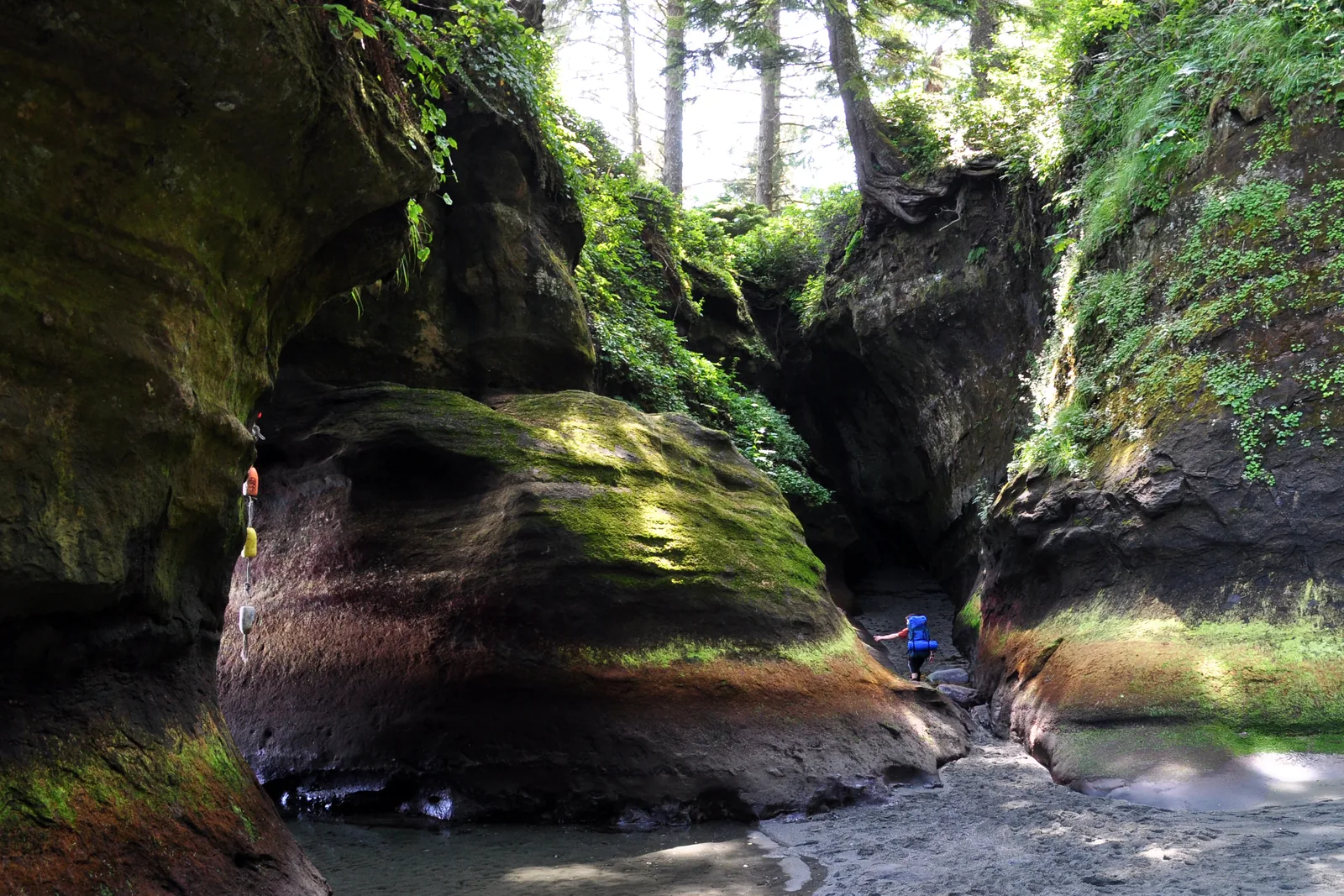 Zwei winzige Wandernde vor einer ausgewaschenen Sandsteinformation am Owen Point, darüber dichter Küstenregenwald
