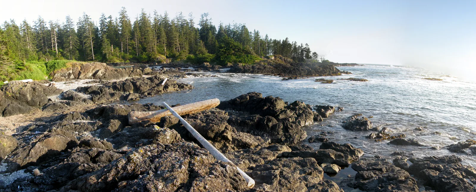 Weiter Blick über die Felsküste am Wickaninnish Beach mit angeschwemmten Treibholzstämmen, dahinter der Küstenwald und die offene See