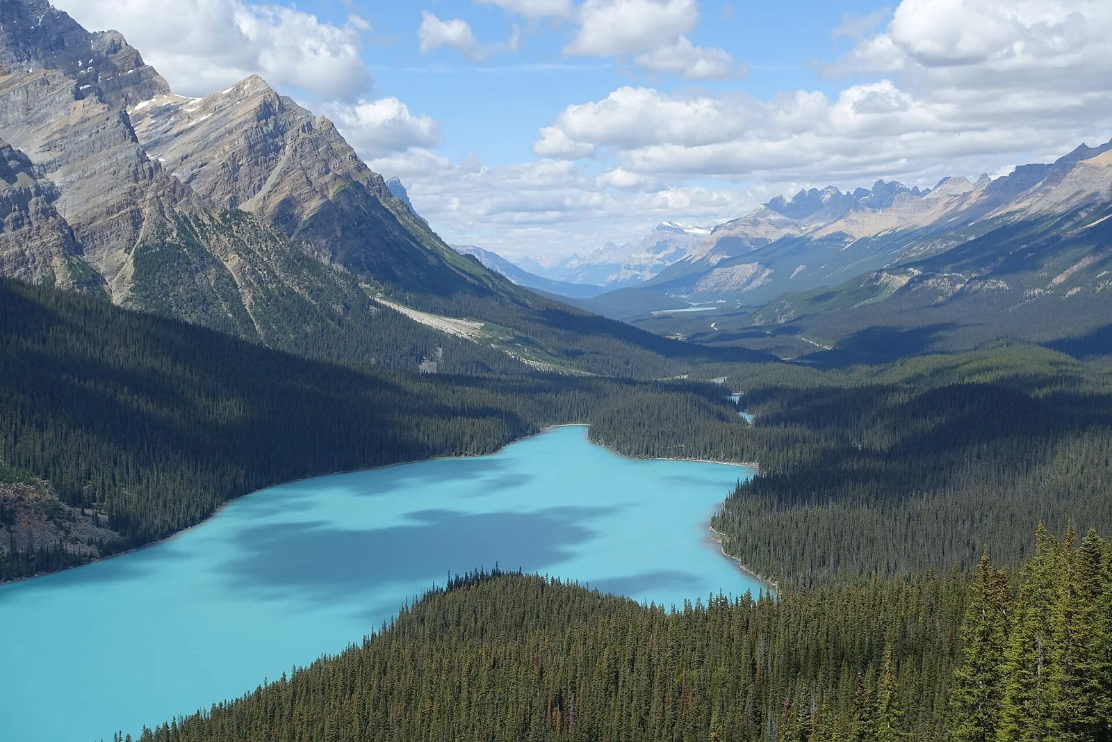 Der türkisblaue Peyto Lake im Banff-Nationalpark von der Aussichtsplattform am Bow Summit, dahinter das Mistaya-Tal und schroffe Gipfel.