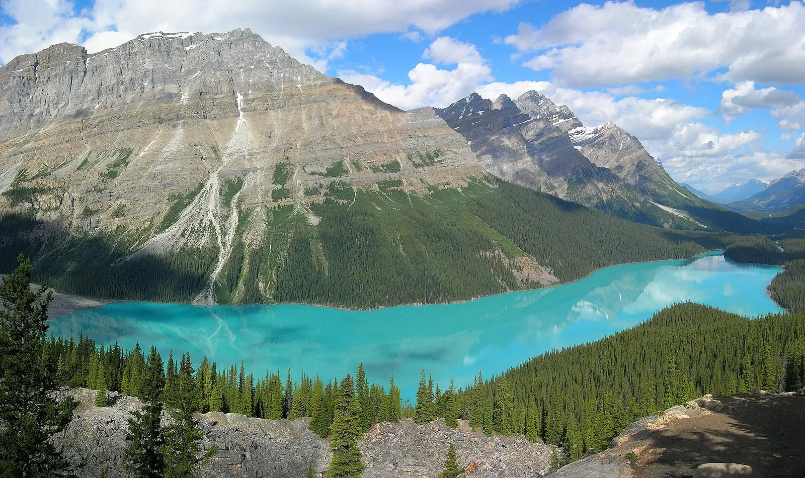 Der Peyto Lake im Banff-Nationalpark unter einer hellen Kalkwand mit Lawinenrinnen, ringsum Nadelwald.