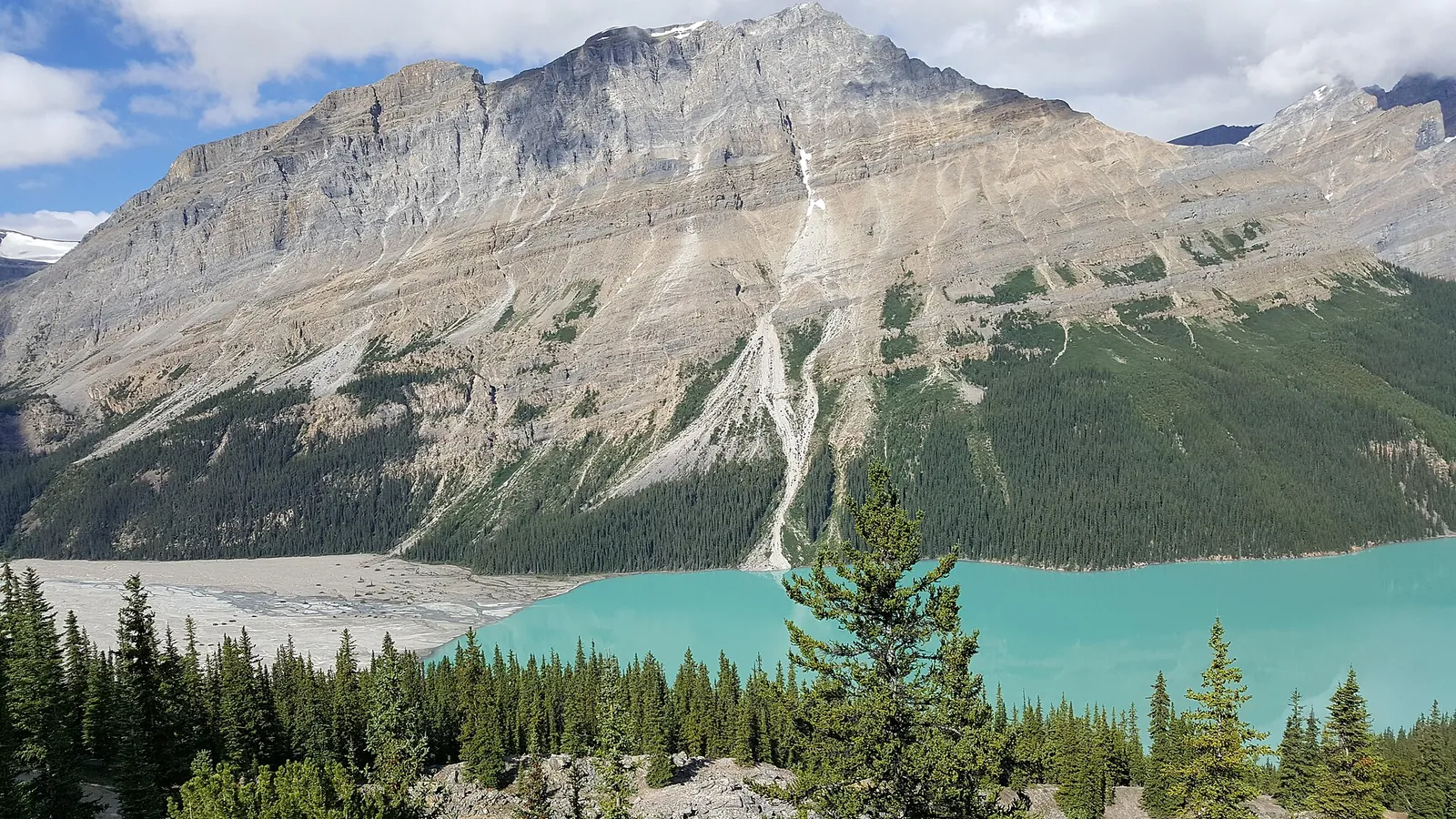 Das Schwemmland am Südende des Peyto Lake im Banff-Nationalpark, wo der Gletscherbach milchiges Wasser in den See trägt.