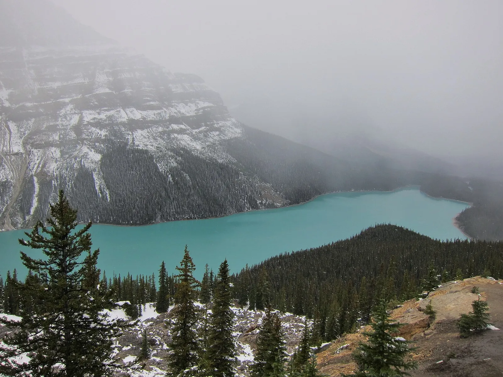 Nebel und Neuschnee über dem Peyto Lake im Banff-Nationalpark, der See leuchtet türkis unter den verhüllten Bergen.