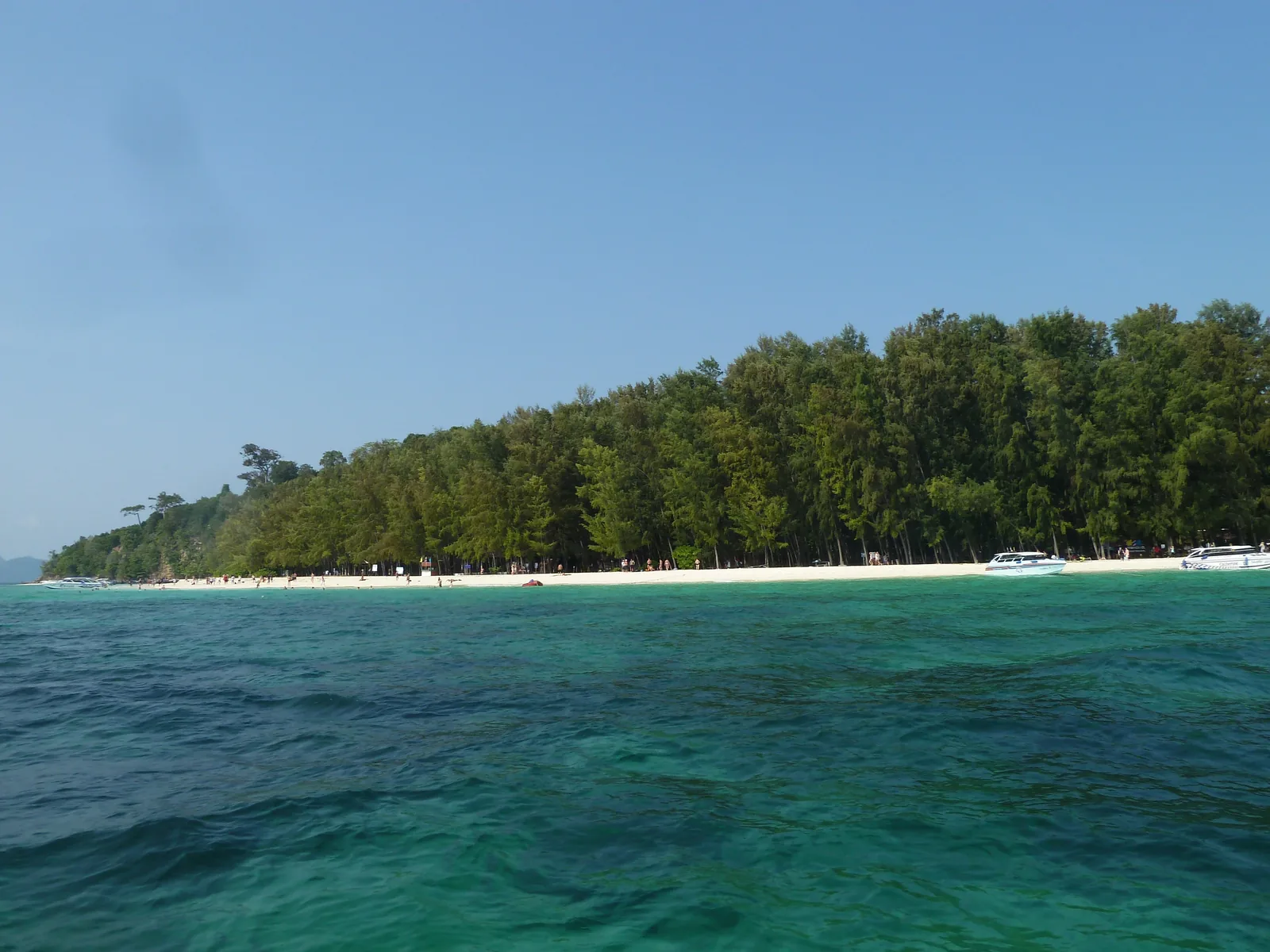 Die flache Bambusinsel im Phi-Phi-Nationalpark mit weißem Sandstrand und dichtem Baumbestand über türkisfarbenem Wasser