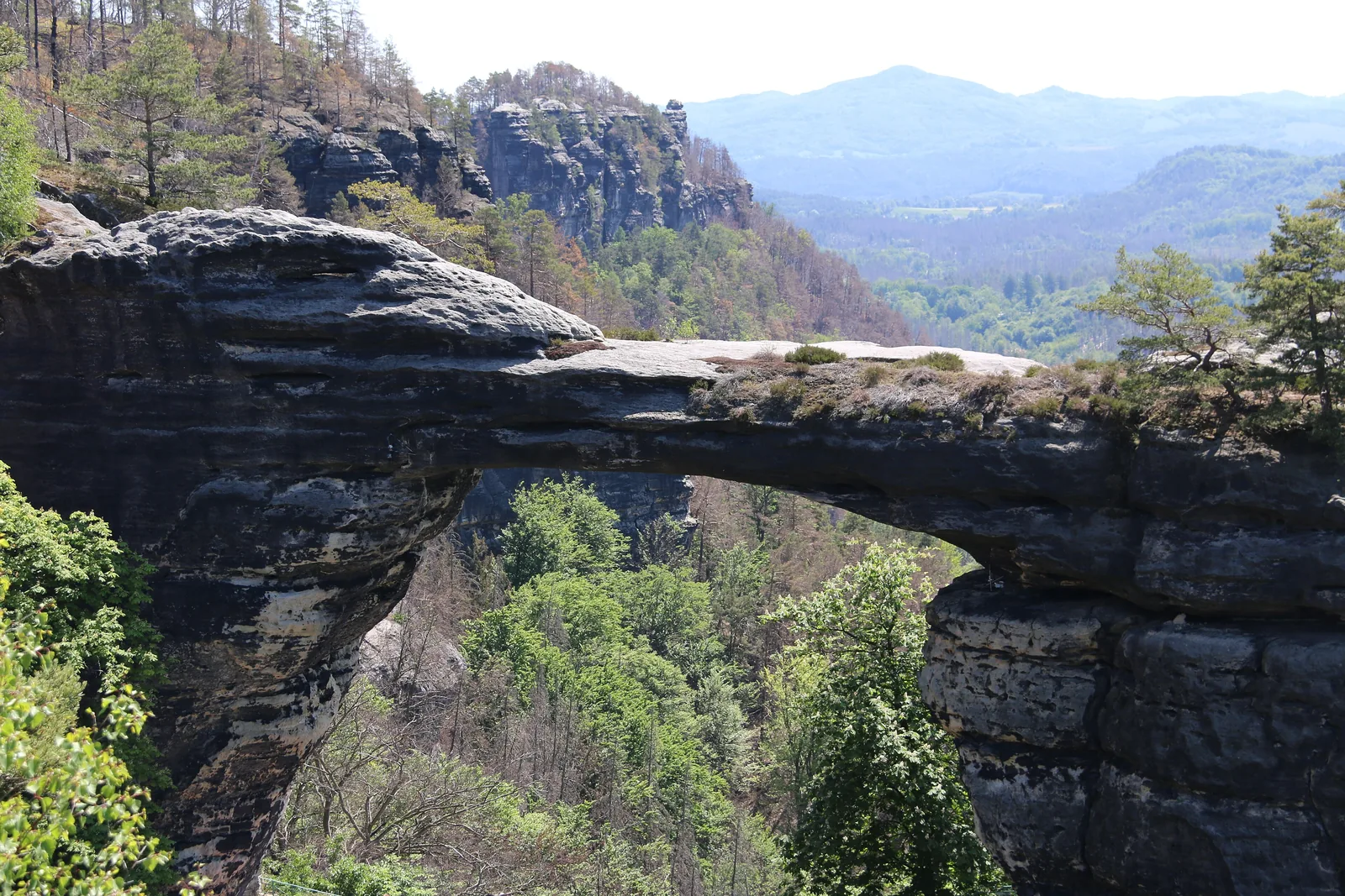 Blick von oben auf den Bogen des Prebischtors, dahinter Hänge mit abgestorbenen und verbrannten Bäumen und ein Bergkegel am Horizont