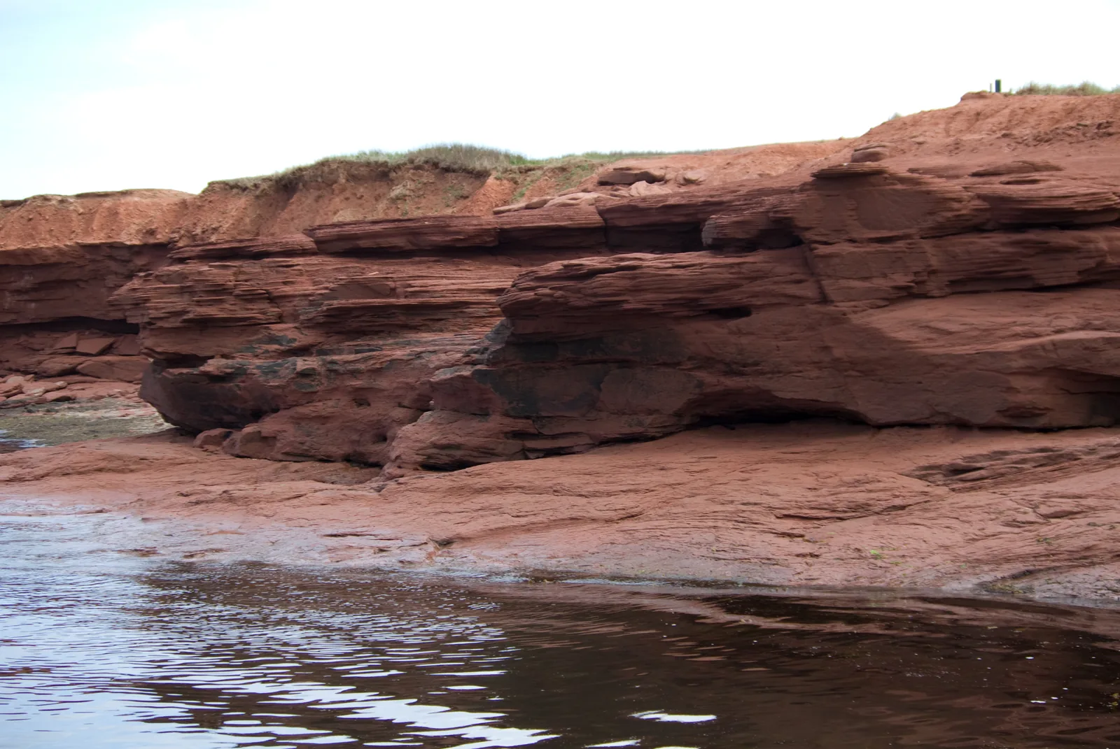 Rote, geschichtete Sandsteinklippen mit ausgewaschenen Höhlungen stehen im flachen Wasser, oben ein schmaler grüner Grasrand