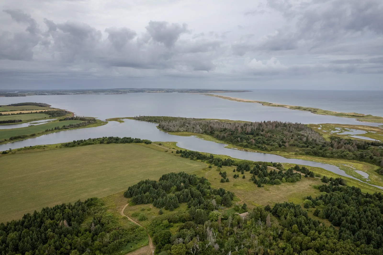 Luftbild über dem Westteil des Parks: Fichtenwald und Wiesen, dahinter verzweigte Wasserläufe, eine flache Bucht und eine lange Sandnehrung vor dem offenen Meer