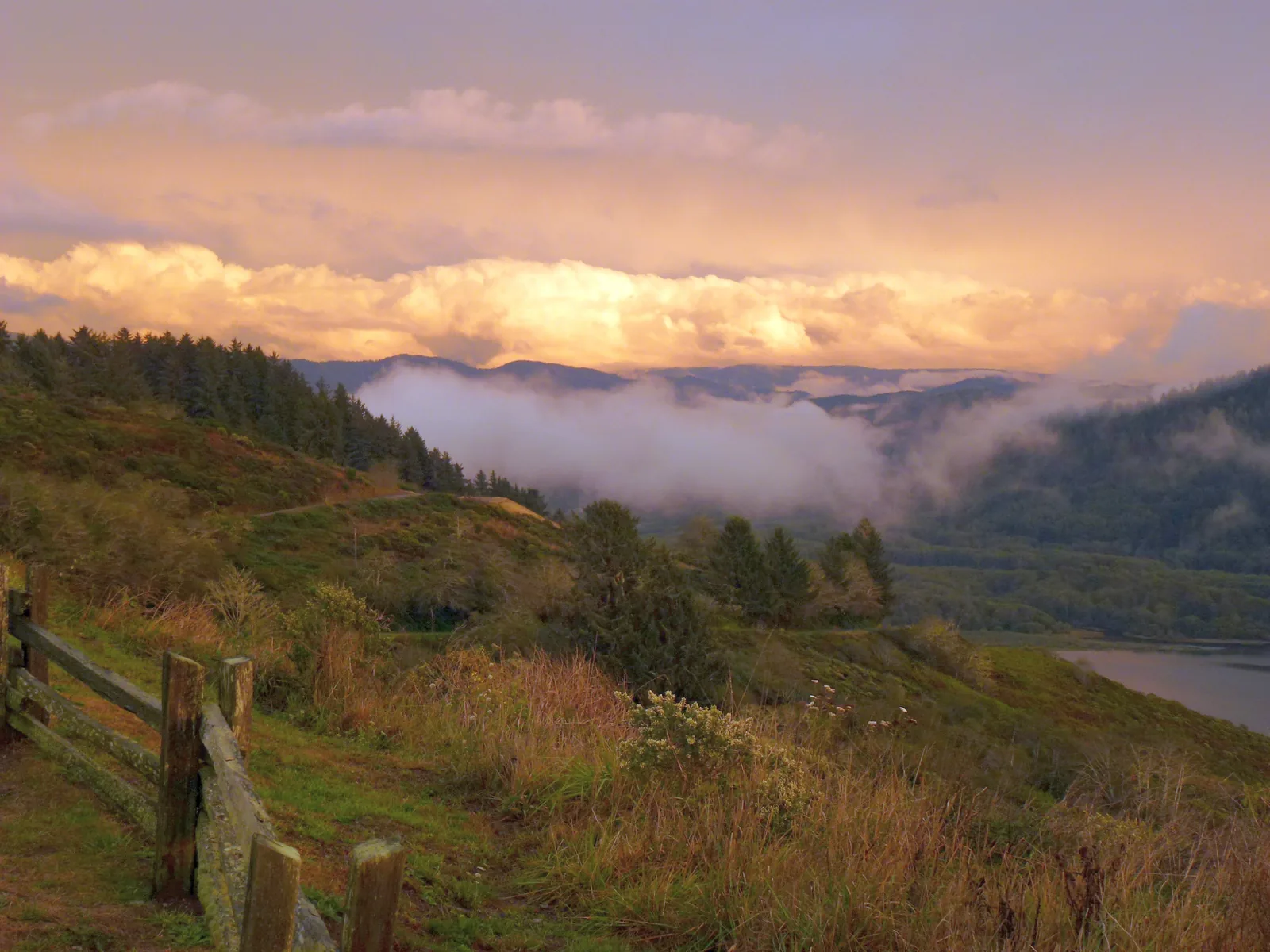 Blick von einem Aussichtspunkt mit Holzgeländer über bewaldete Hügel, in deren Tälern eine geschlossene Nebelbank liegt, darüber abendlich gefärbte Wolken