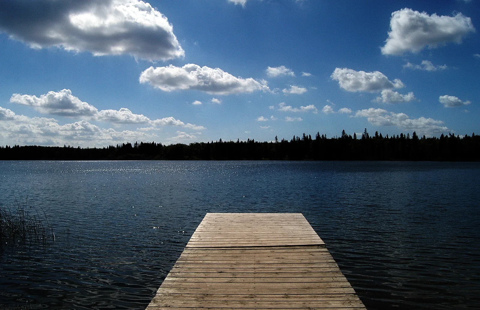 Ein hölzerner Steg führt in den Clear Lake hinaus, am gegenüberliegenden Ufer eine dunkle Waldkante unter hohem Wolkenhimmel