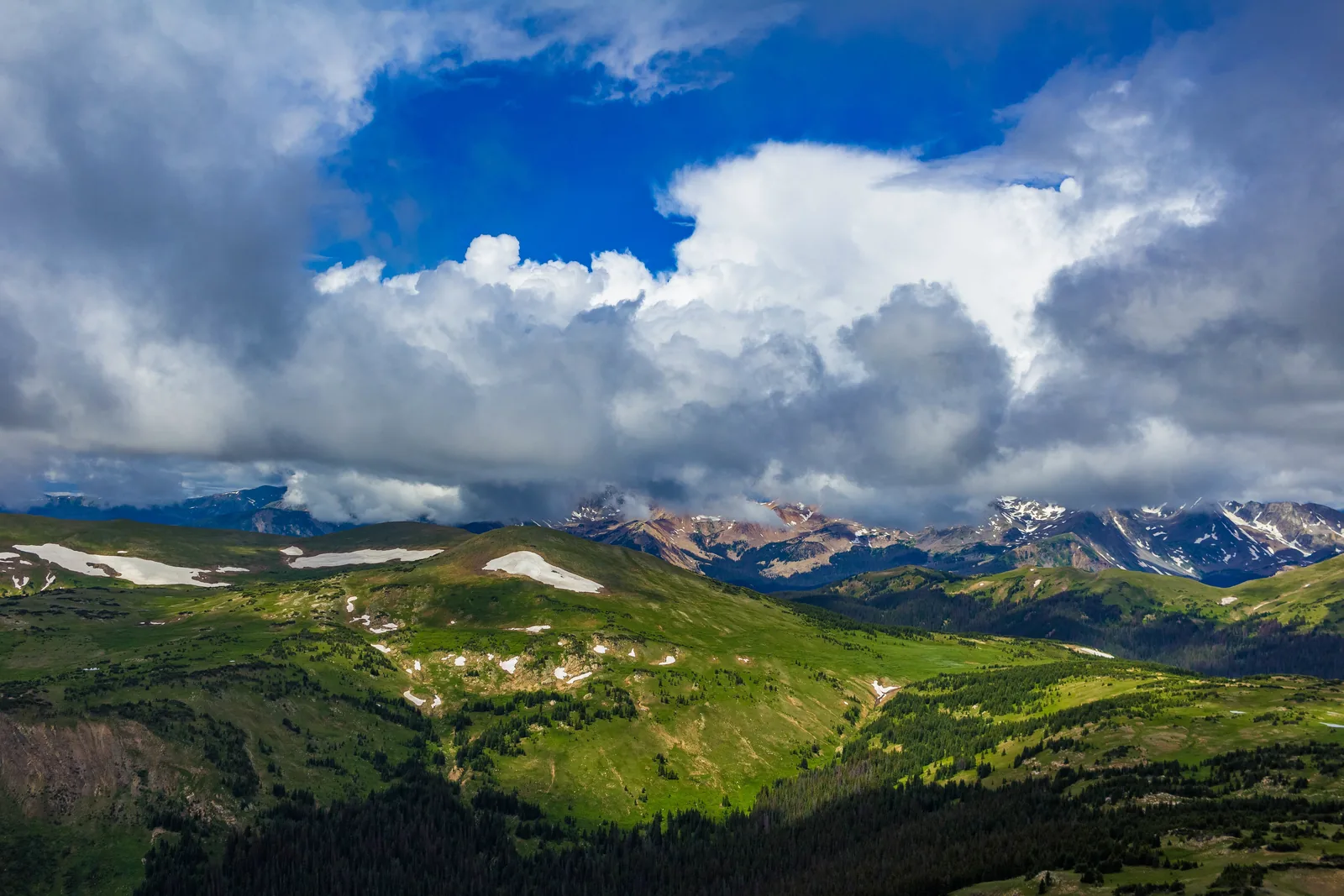 Blick vom höchsten Punkt der Trail Ridge Road über grüne Hochflächen mit Schneefeldern, darüber eine mächtige aufquellende Gewitterwolke