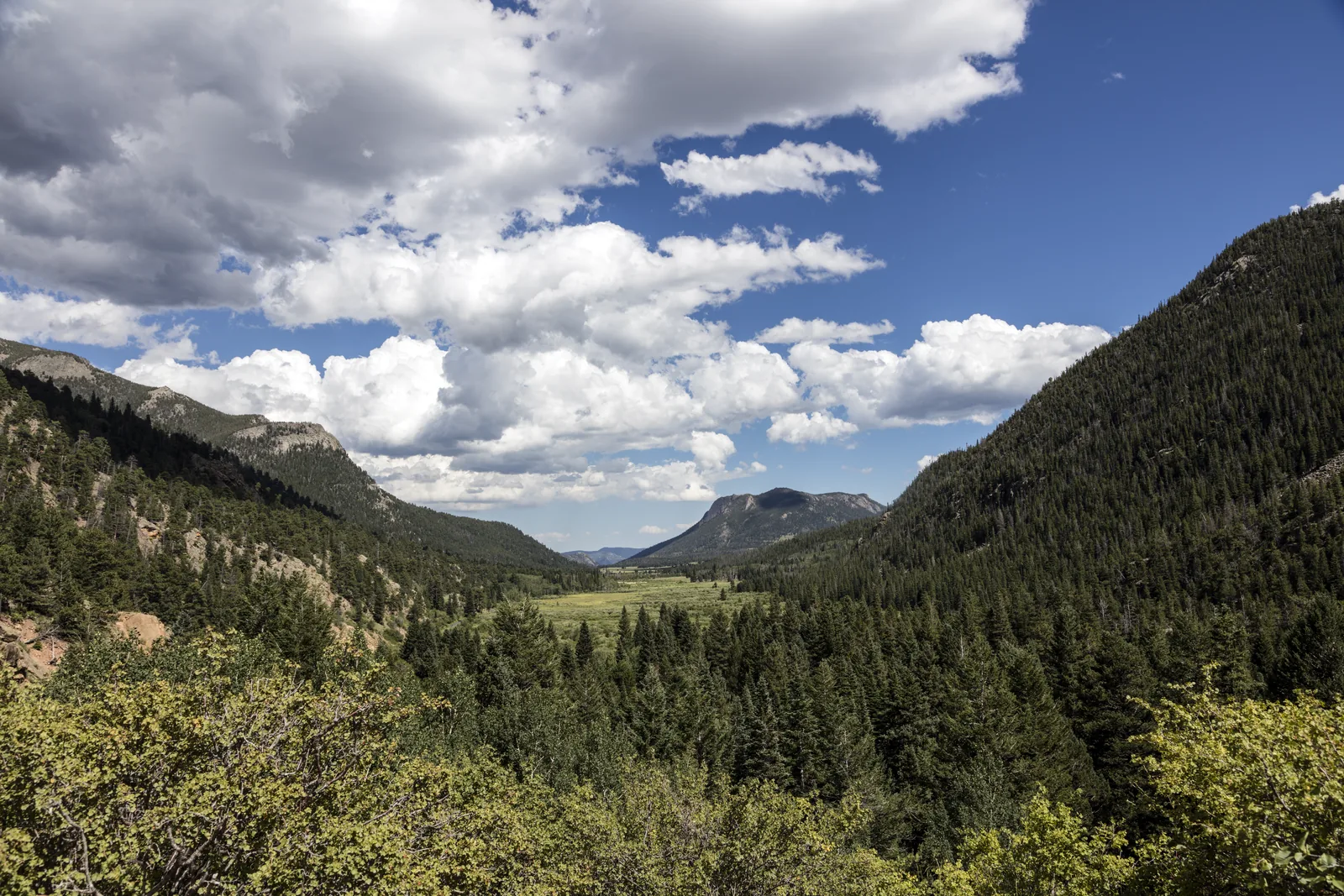 Blick von einer Bergflanke über ein bewaldetes Tal auf eine offene grüne Talwiese, darüber hoch aufgetürmte weiße Quellwolken