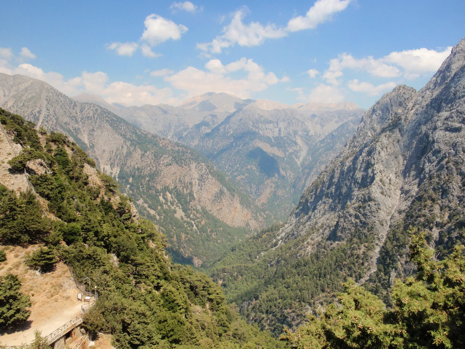 Blick von oben in die Samaria-Schlucht auf Kreta: bewaldete Hänge fallen zwischen den Gipfeln der Weißen Berge steil ab