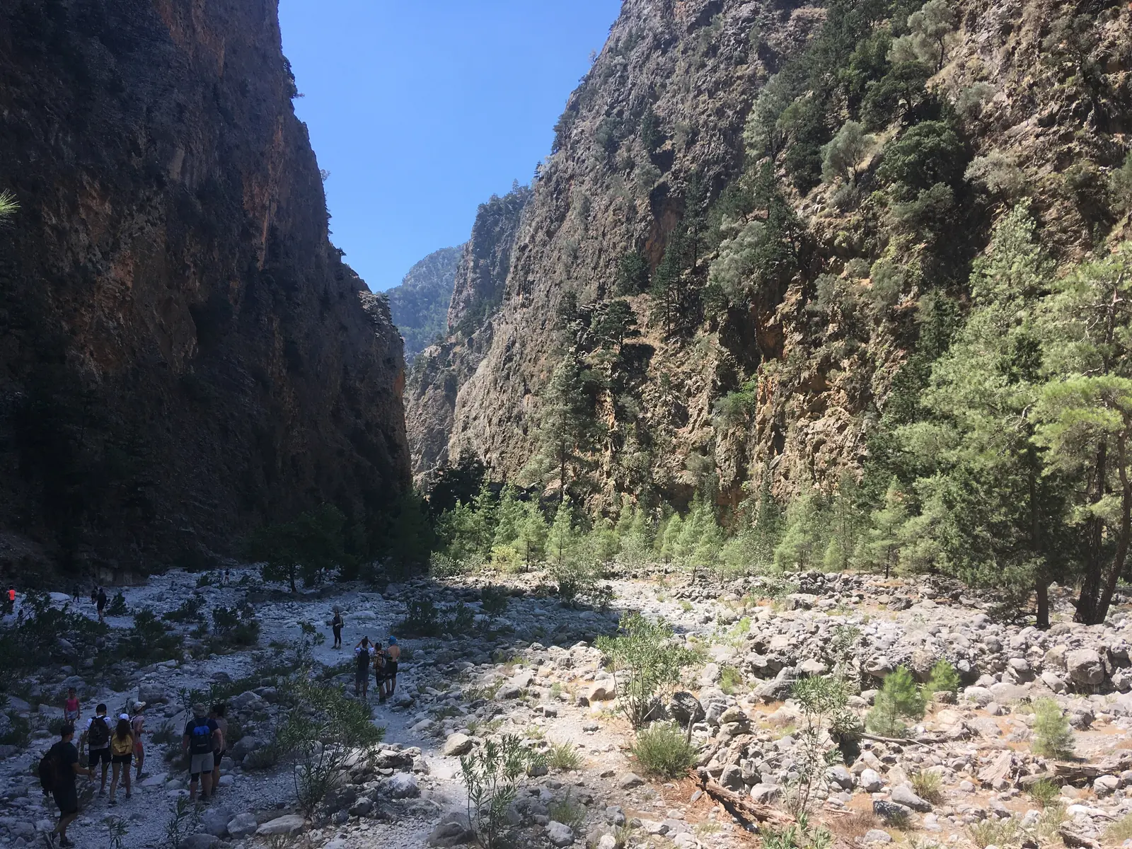 Wanderer im breiten Flussbett der Samaria-Schlucht zwischen hohen Felswänden und Kiefern im Juli