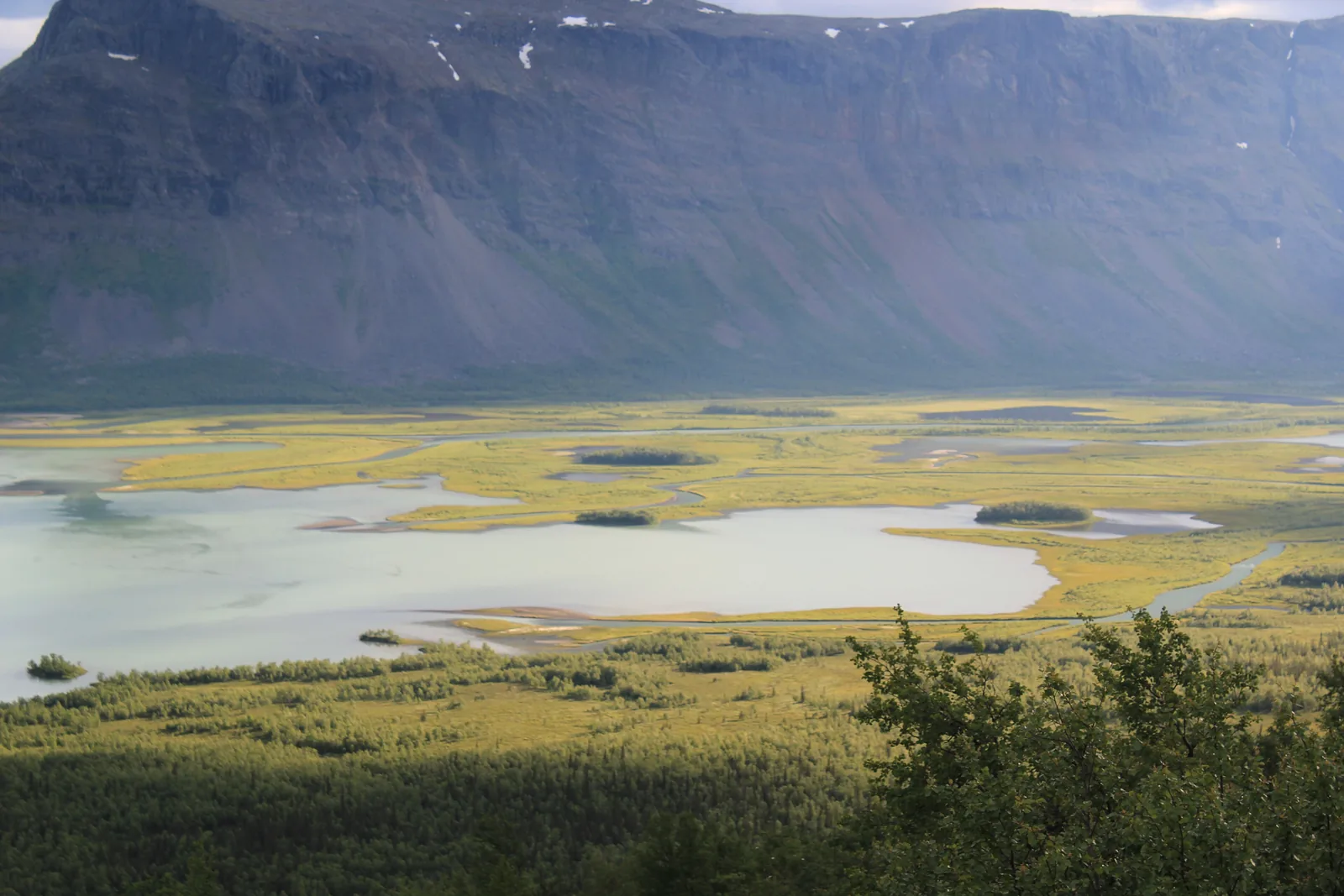 Das breite Rapadalen im Sarek-Nationalpark mit verzweigten Wasserarmen und grünen Inseln vor einer langen, steilen Bergflanke