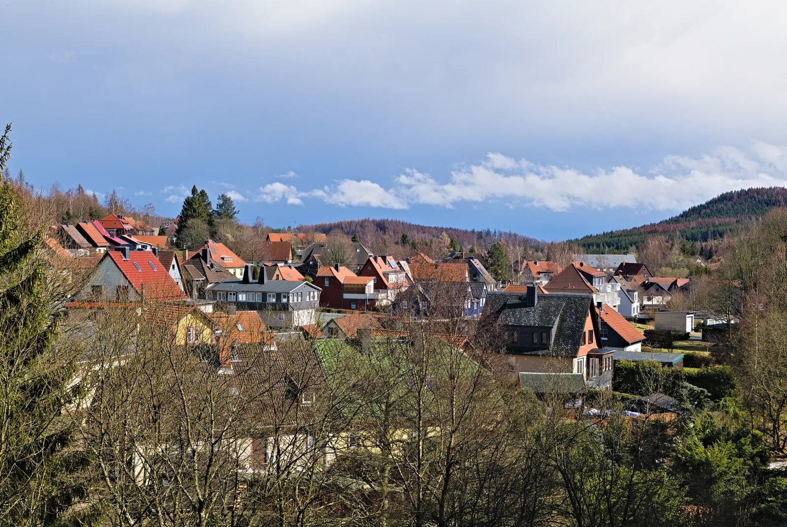 Der Pfarrstieg im Nationalpark Harz bei Schierke